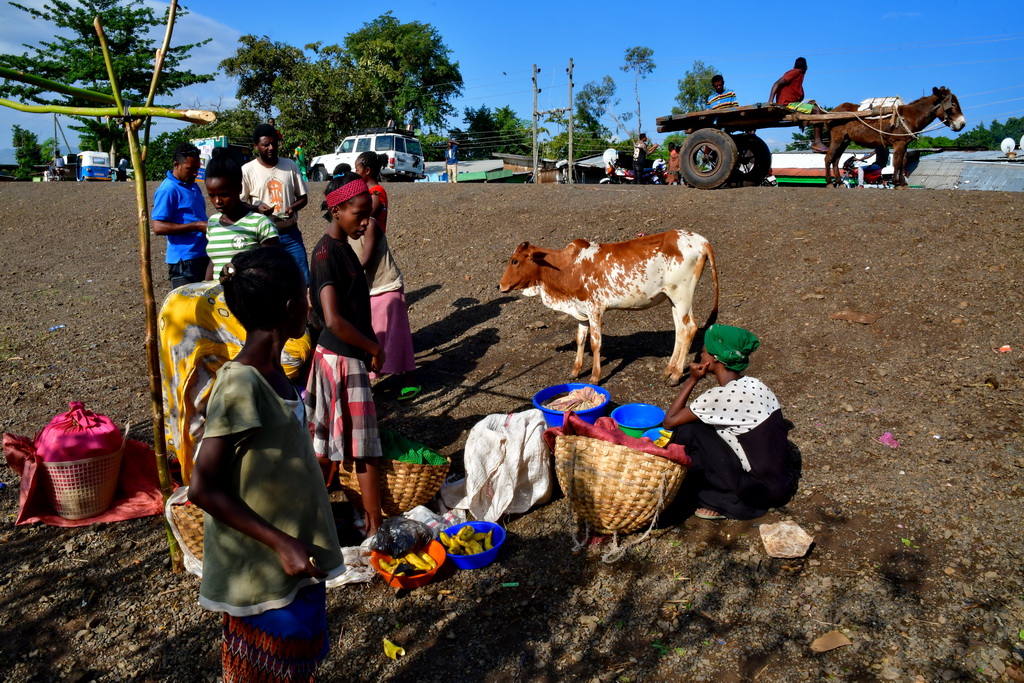 Arba Minch to Konso